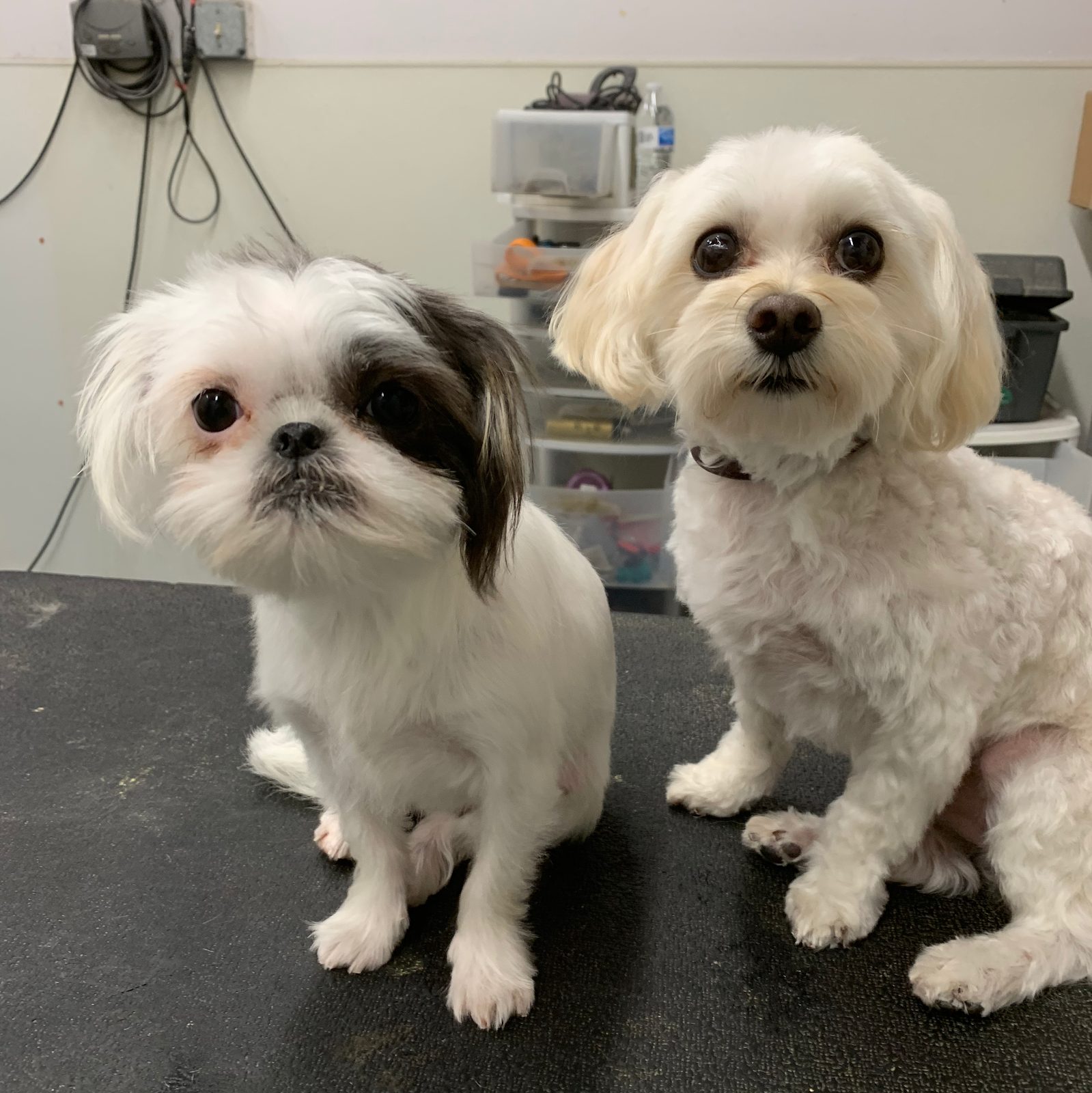 Included With Every Haircut Appointment