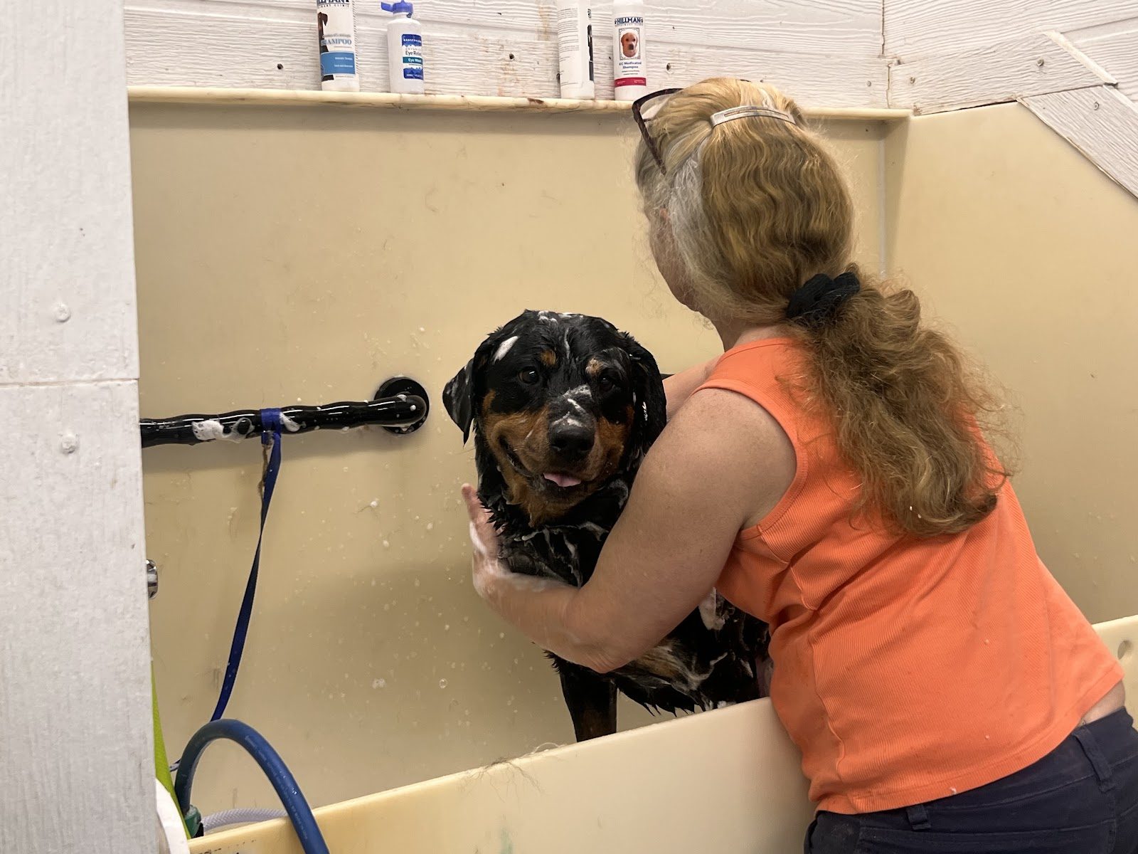 Barbara Sellers giving a dog a gentle spa bath