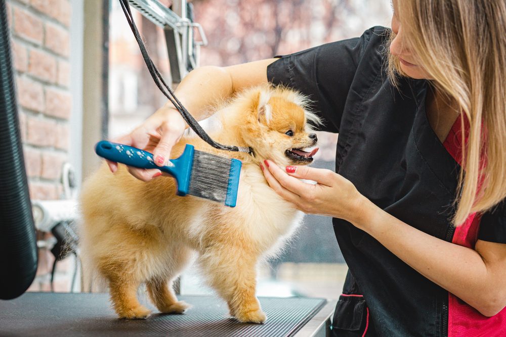 Take Control of Heavy Shedding